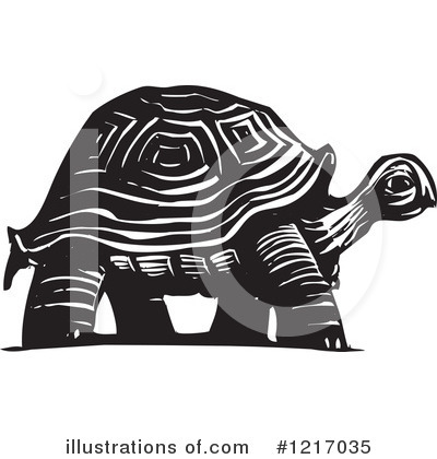 Turtle Clipart #1217035 by xunantunich