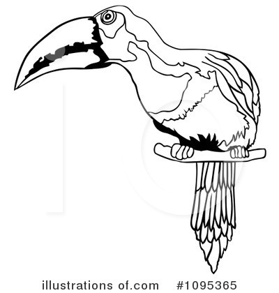 Royalty-Free (RF) Toucan Clipart Illustration by dero - Stock Sample #1095365