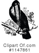 Toucan Clipart #1147861 by Prawny Vintage