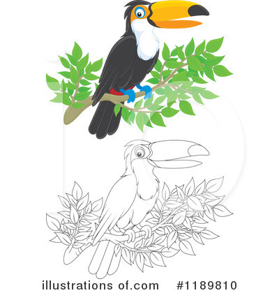 Royalty-Free (RF) Toucan Clipart Illustration by Alex Bannykh - Stock Sample #1189810