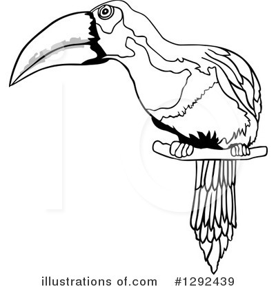 Royalty-Free (RF) Toucan Clipart Illustration by dero - Stock Sample #1292439