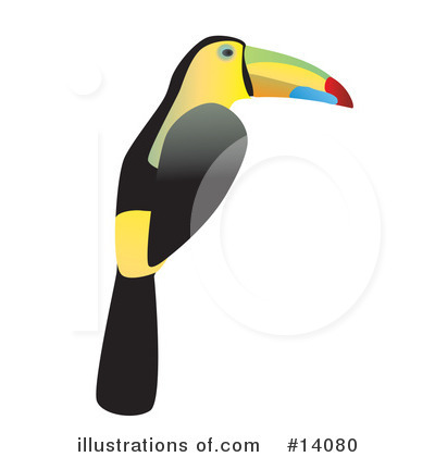 Royalty-Free (RF) Toucan Clipart Illustration by Rasmussen Images - Stock Sample #14080