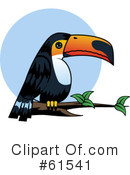 Toucan Clipart #61541 by r formidable