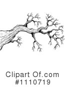 Tree Branch Clipart #1110719 by visekart
