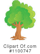 Tree Clipart #1100747 by visekart