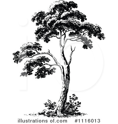 Royalty-Free (RF) Tree Clipart Illustration by Prawny Vintage - Stock Sample #1116013