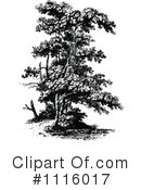 Tree Clipart #1116017 by Prawny Vintage
