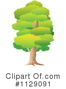 Tree Clipart #1129091 by YUHAIZAN YUNUS