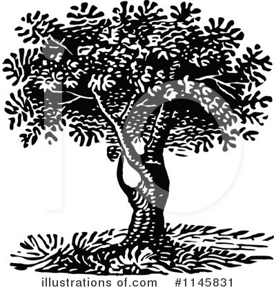 Royalty-Free (RF) Tree Clipart Illustration by Prawny Vintage - Stock Sample #1145831