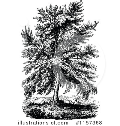 Royalty-Free (RF) Tree Clipart Illustration by Prawny Vintage - Stock Sample #1157368
