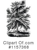 Tree Clipart #1157368 by Prawny Vintage