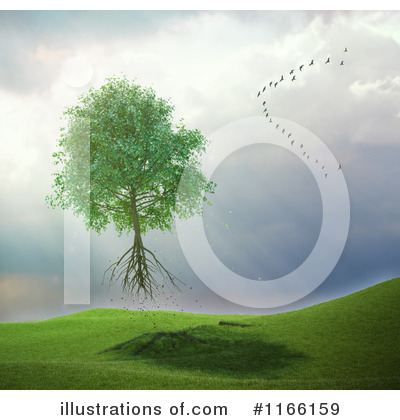 Meadow Clipart #1166159 by Mopic