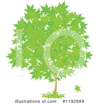 Maple Tree Clipart #1192689 by Alex Bannykh