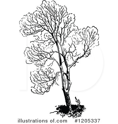 Royalty-Free (RF) Tree Clipart Illustration by Prawny Vintage - Stock Sample #1205337
