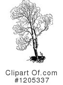 Tree Clipart #1205337 by Prawny Vintage