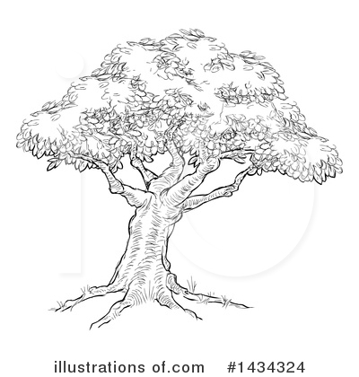 Royalty-Free (RF) Tree Clipart Illustration by AtStockIllustration - Stock Sample #1434324