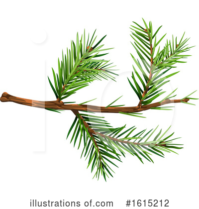 Branches Clipart #1615212 by dero