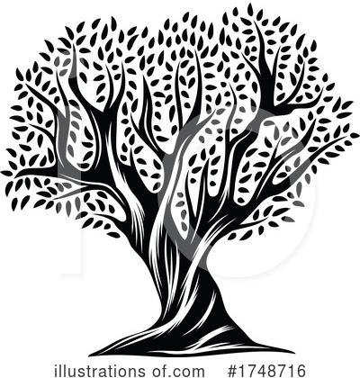Olive Tree Clipart #1748716 by Vector Tradition SM