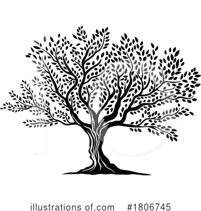 Olive Tree Clipart #1806745 by Vector Tradition SM