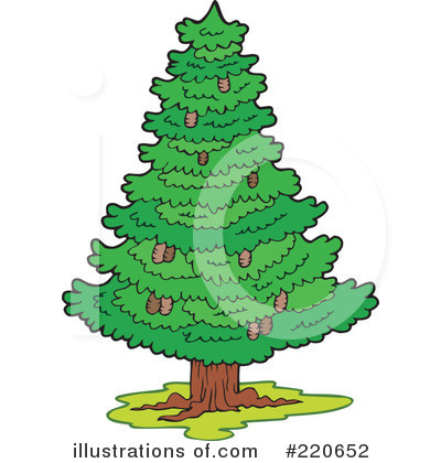 Evergreen Clipart #220652 by visekart
