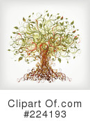 Tree Clipart #224193 by OnFocusMedia