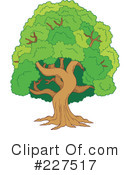 Tree Clipart #227517 by visekart