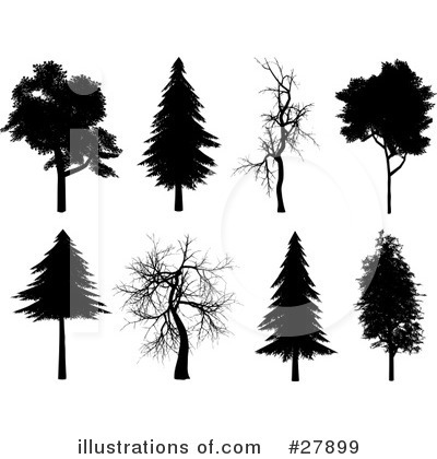 Royalty-Free (RF) Tree Clipart Illustration by KJ Pargeter - Stock Sample #27899