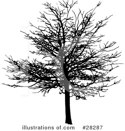 Royalty-Free (RF) Tree Clipart Illustration by KJ Pargeter - Stock Sample #28287