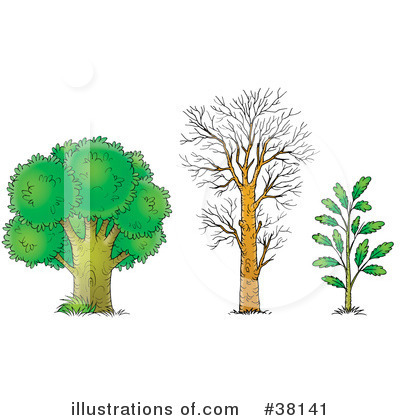 Royalty-Free (RF) Tree Clipart Illustration by Alex Bannykh - Stock Sample #38141