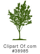 Tree Clipart #38985 by Tonis Pan