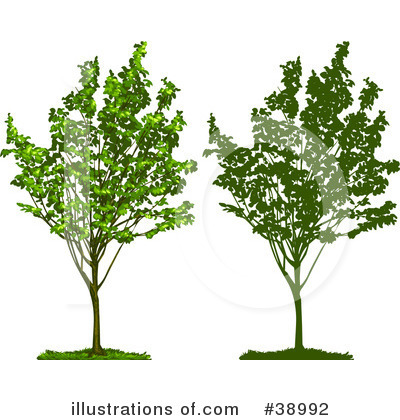 Royalty-Free (RF) Tree Clipart Illustration by Tonis Pan - Stock Sample #38992