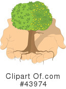 Tree Clipart #43974 by Maria Bell