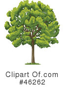 Tree Clipart #46262 by Tonis Pan