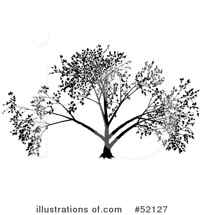 Royalty-Free (RF) Tree Clipart Illustration by dero - Stock Sample #52127