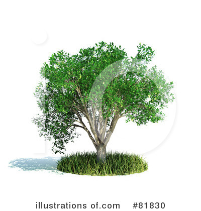 Tree Clipart #81830 by Mopic