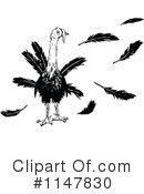 Turkey Bird Clipart #1147830 by Prawny Vintage