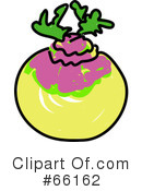 Turnip Clipart #66162 by Prawny