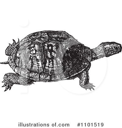 Royalty-Free (RF) Turtle Clipart Illustration by BestVector - Stock Sample #1101519
