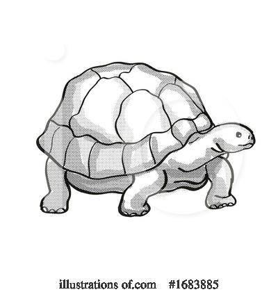 Tortoise Clipart #1683885 by patrimonio