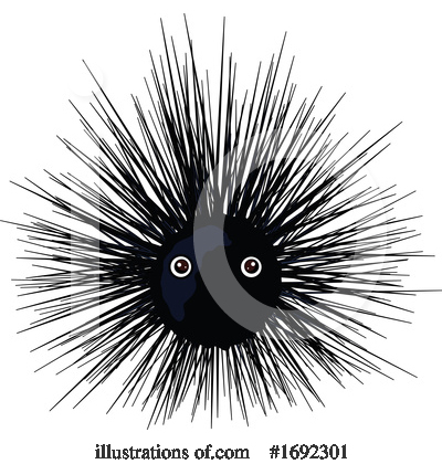 Sea Urchin Clipart #1692301 by Pushkin