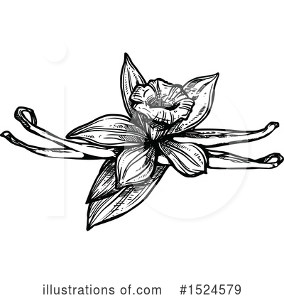 Royalty-Free (RF) Vanilla Clipart Illustration by Vector Tradition SM - Stock Sample #1524579