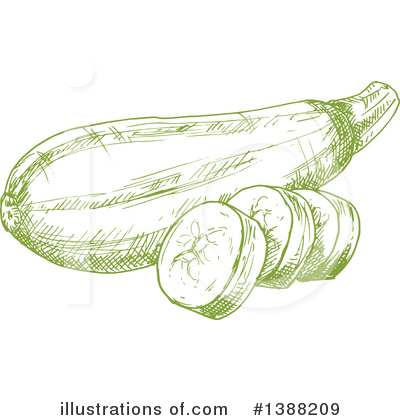 Zucchini Clipart #1388209 by Vector Tradition SM