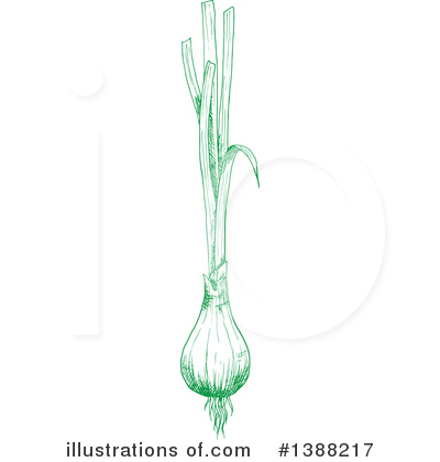 Green Onions Clipart #1388217 by Vector Tradition SM