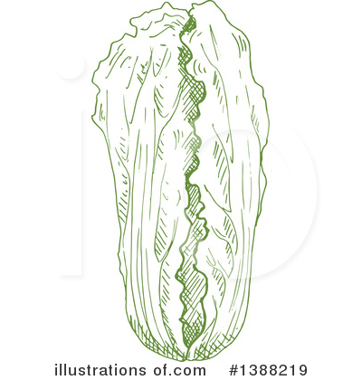 Royalty-Free (RF) Vegetable Clipart Illustration by Vector Tradition SM - Stock Sample #1388219