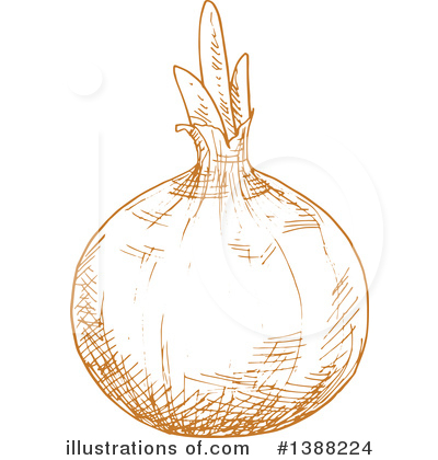 Yellow Onion Clipart #1388224 by Vector Tradition SM