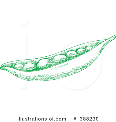 Royalty-Free (RF) Vegetable Clipart Illustration by Vector Tradition SM - Stock Sample #1388230