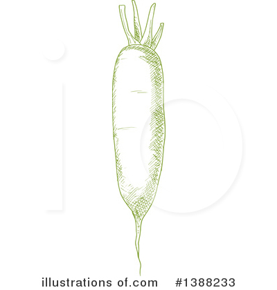 Daikon Clipart #1388233 by Vector Tradition SM
