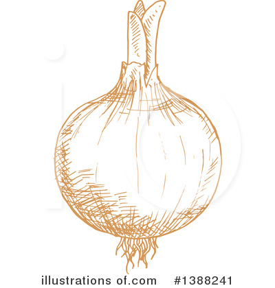 Yellow Onion Clipart #1388241 by Vector Tradition SM