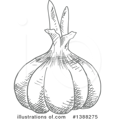 Royalty-Free (RF) Vegetable Clipart Illustration by Vector Tradition SM - Stock Sample #1388275