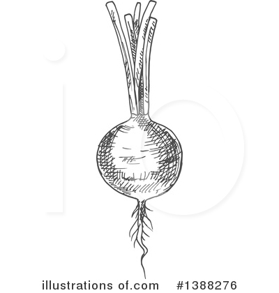 Royalty-Free (RF) Vegetable Clipart Illustration by Vector Tradition SM - Stock Sample #1388276